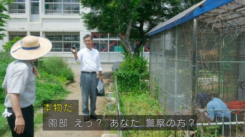 いきもの係 4話のキャプ338