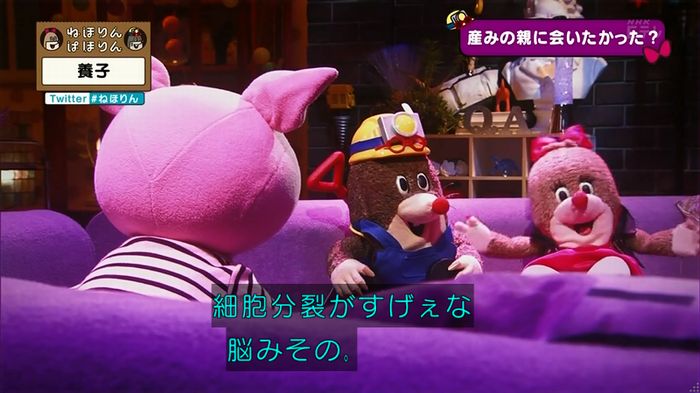 ねほりん 養子回のキャプ305