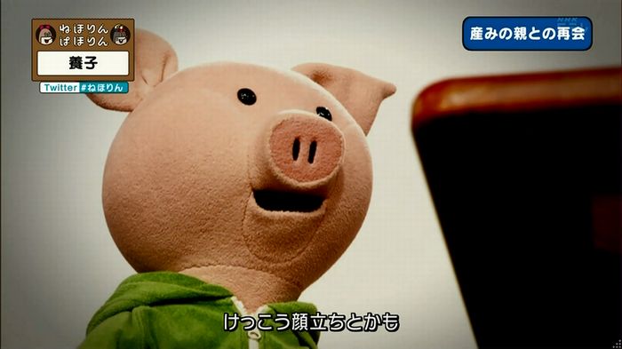 ねほりん 養子回のキャプ320