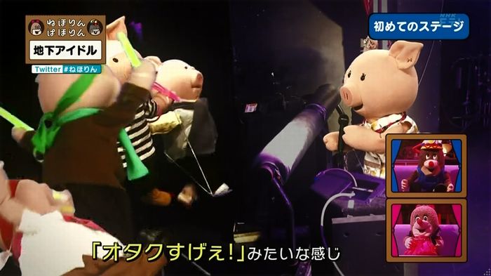 ねほりん 地下アイドル回のキャプ287