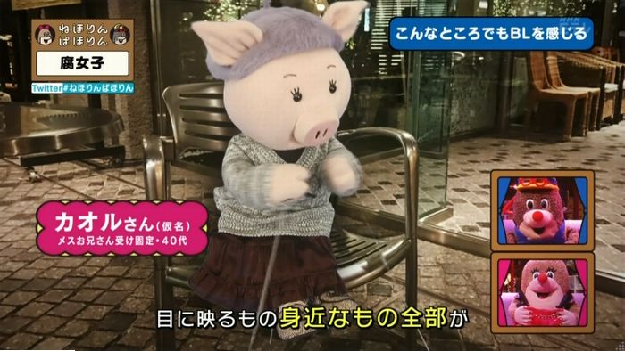 ねほりん腐女子回のキャプ227