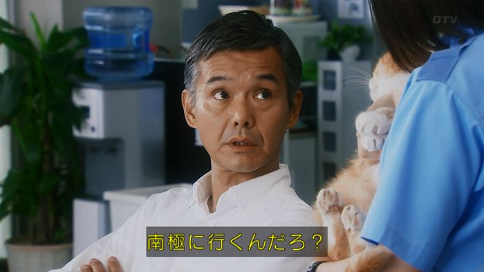 警視庁いきもの係 8話のキャプ826