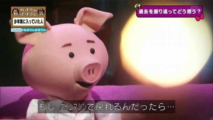 ねほりんぱほりんのキャプ435