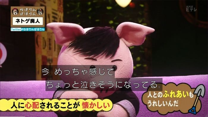 ねほりんネトゲ廃人のキャプ483