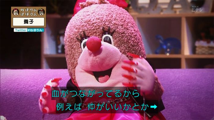 ねほりん 養子回のキャプ273