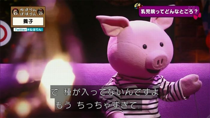 ねほりん 養子回のキャプ47