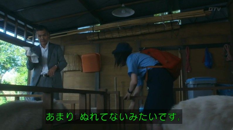 いきもの係 4話のキャプ443