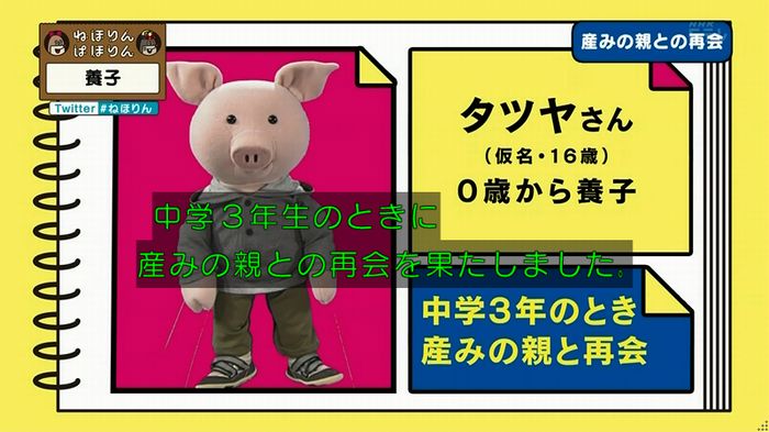 ねほりん 養子回のキャプ311