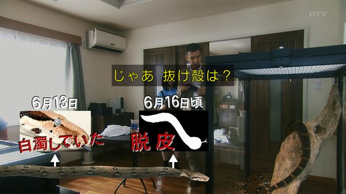 いきもの係 3話のキャプ263