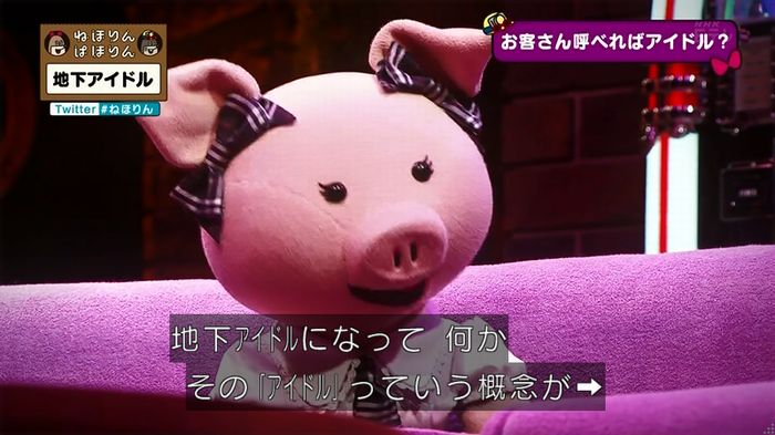 ねほりん 地下アイドル回のキャプ256