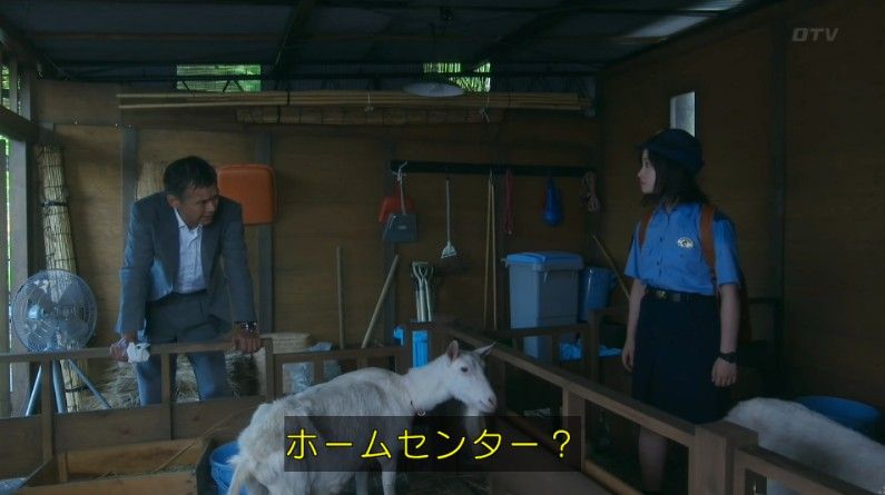 いきもの係 4話のキャプ454