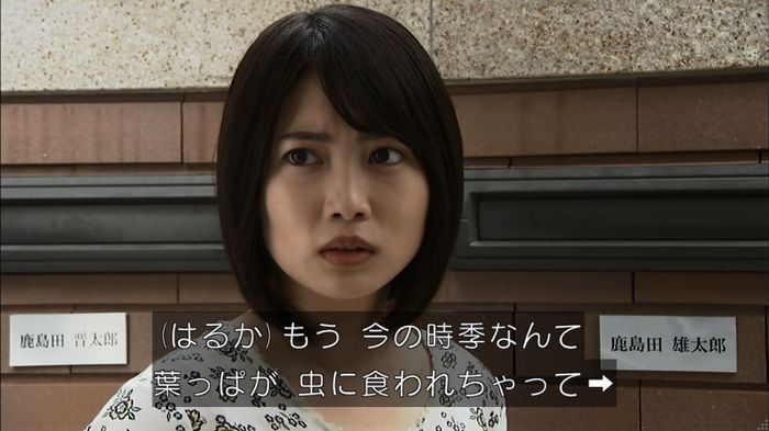 ウツボカズラの夢4話のキャプ70