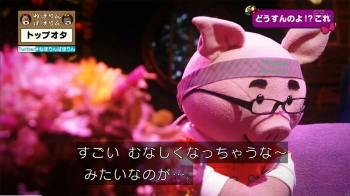 ねほりんぱほりんのキャプ349