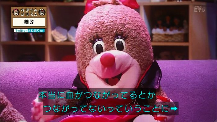 ねほりん 養子回のキャプ345
