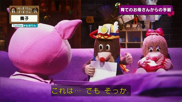 ねほりん 養子回のキャプ433