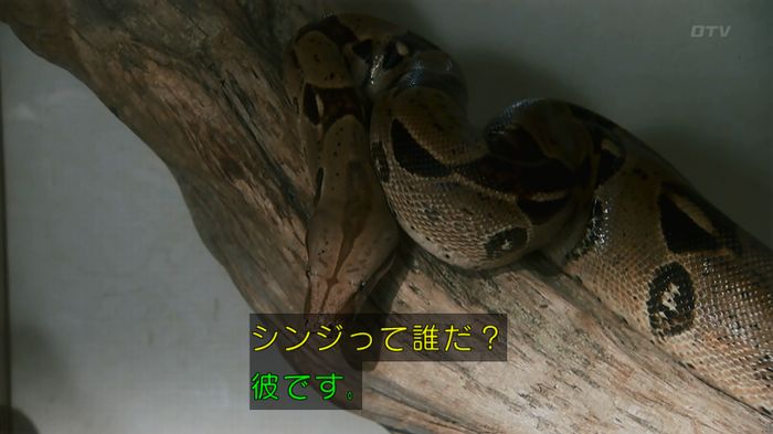 いきもの係 3話のキャプ239