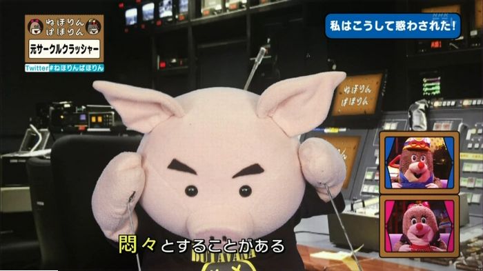 ねほりんぱほりん サークルクラッシャーのキャプ248