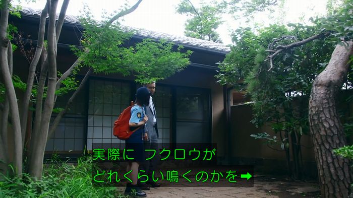 警視庁いきもの係 8話のキャプ488