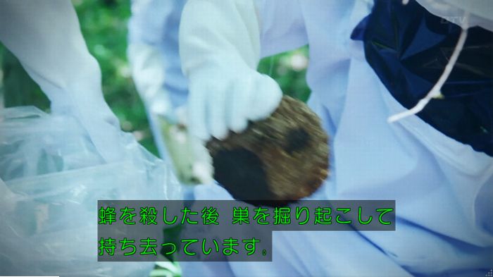 警視庁いきもの係 9話のキャプ585