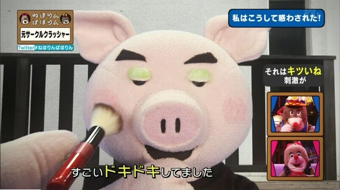ねほりんぱほりん サークルクラッシャーのキャプ238