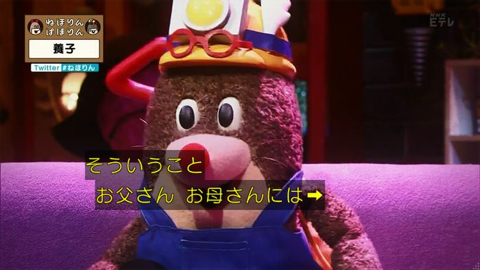 ねほりん 養子回のキャプ208
