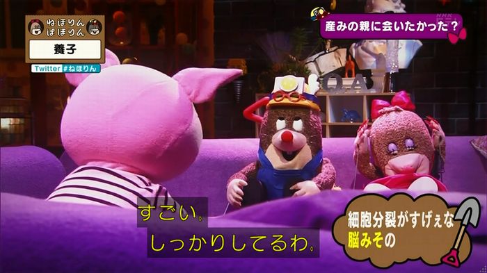 ねほりん 養子回のキャプ306