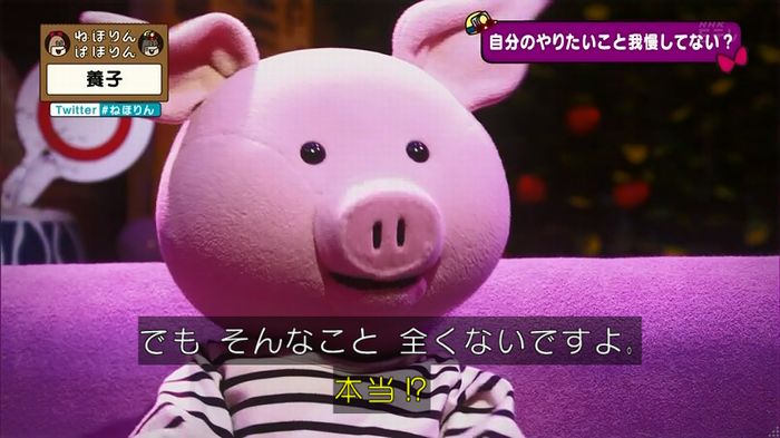 ねほりん 養子回のキャプ365