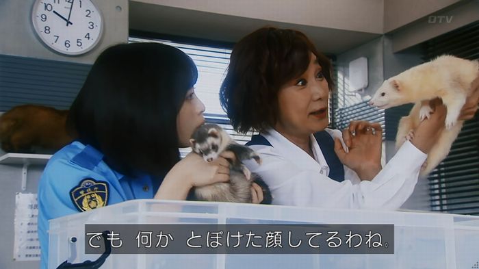 警視庁いきもの係 8話のキャプ42