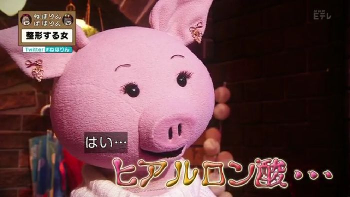 ねほりんぱほりんのキャプ40