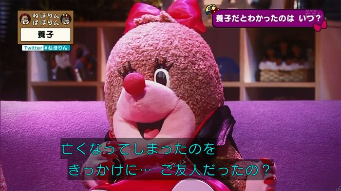 ねほりん 養子回のキャプ39