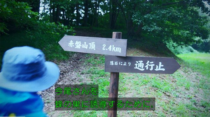 警視庁いきもの係 9話のキャプ592