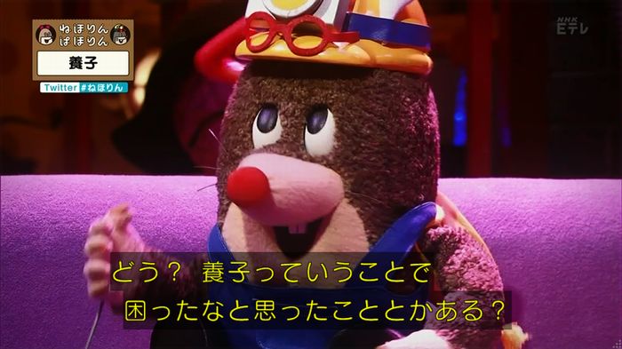 ねほりん 養子回のキャプ157