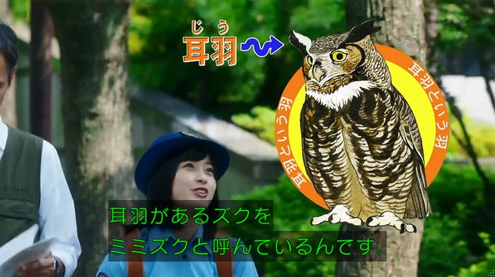 警視庁いきもの係 8話のキャプ147