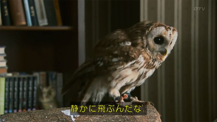 警視庁いきもの係 8話のキャプ206
