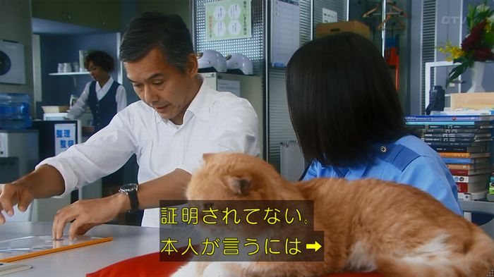 警視庁いきもの係 8話のキャプ538