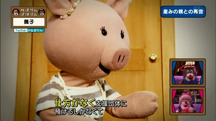 ねほりん 養子回のキャプ323