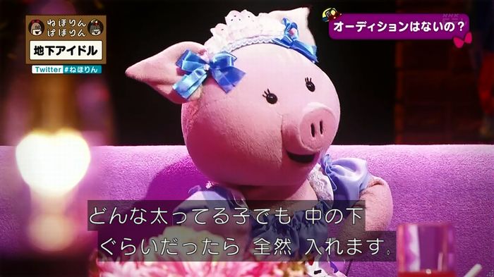 ねほりん 地下アイドル回のキャプ231