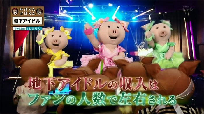 ねほりん 地下アイドル回のキャプ356