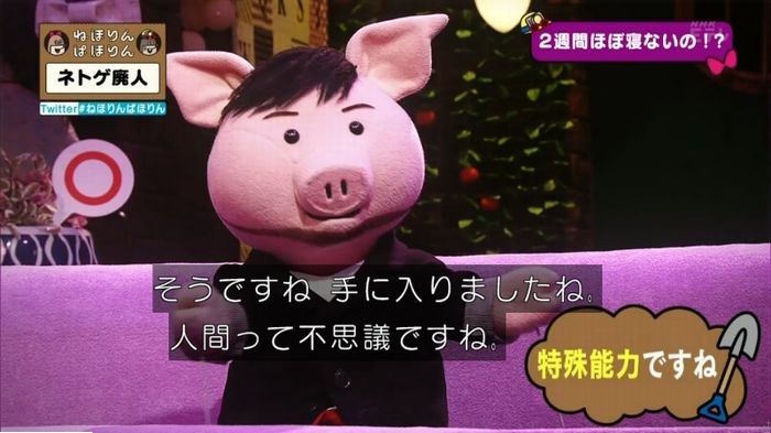 ねほりんネトゲ廃人のキャプ101