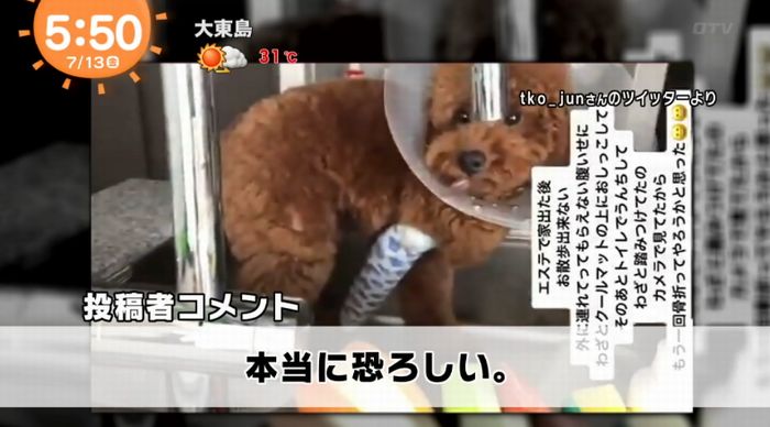 めざましテレビのキャプ2