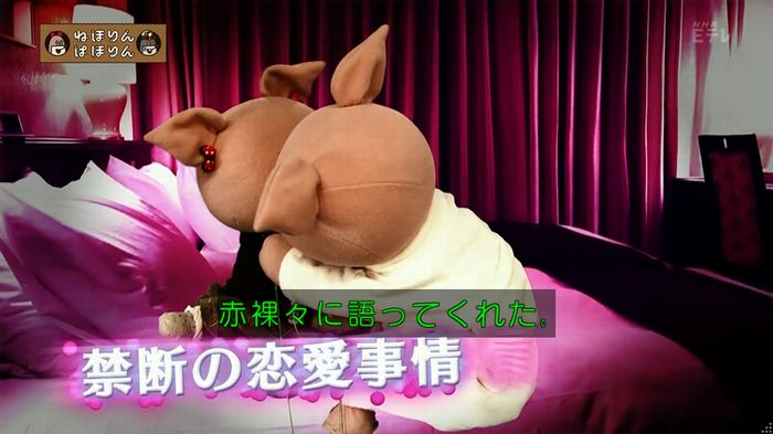 ねほりん 地下アイドル回のキャプ20