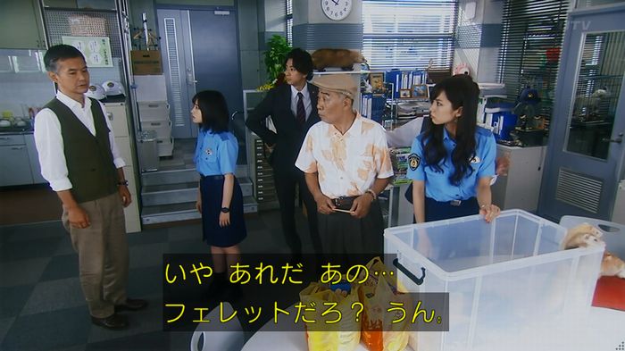 警視庁いきもの係 8話のキャプ78