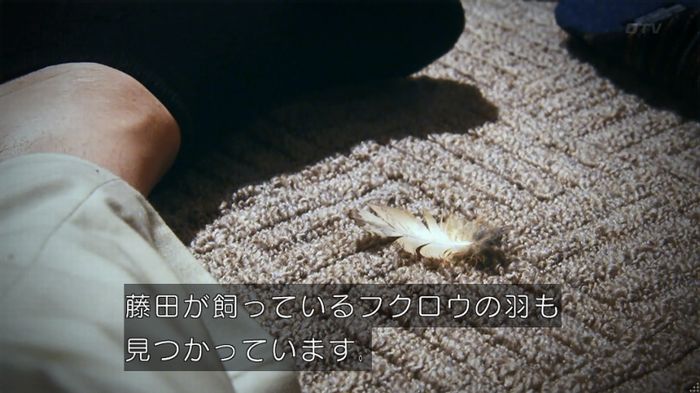警視庁いきもの係 8話のキャプ134