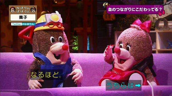 ねほりん 養子回のキャプ347
