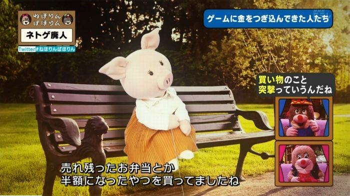 ねほりんネトゲ廃人のキャプ228