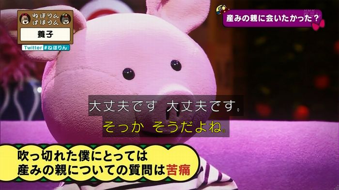 ねほりん 養子回のキャプ292