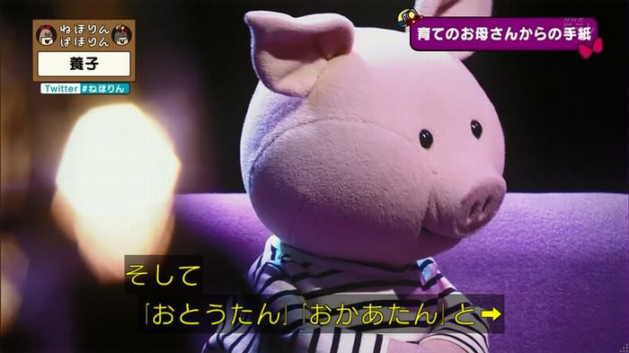 ねほりん 養子回のキャプ410