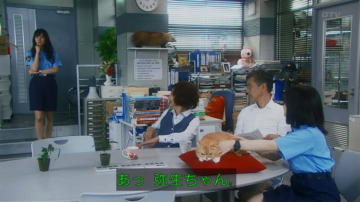 いきもの係 3話のキャプ110