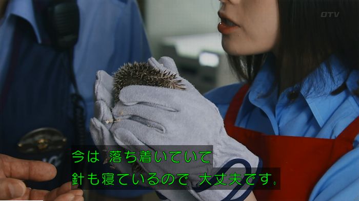 警視庁いきもの係 9話のキャプ174