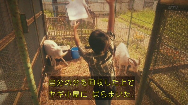 いきもの係 4話のキャプ799